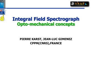 Integral Field Spectrograph  Opto-mechanical concepts