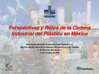 Perspectivas y Retos de la Cadena Industrial del Plástico en México