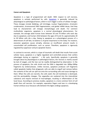 Cancer and Apoptosis