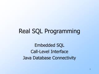 Real SQL Programming