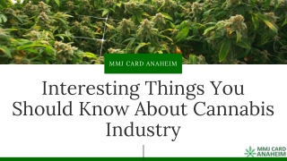 Interesting Things You Should Know About Cannabis Industry