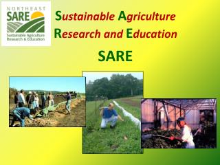 S ustainable A griculture R esearch and E ducation SARE