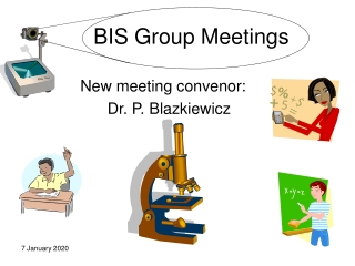 BIS Group Meetings