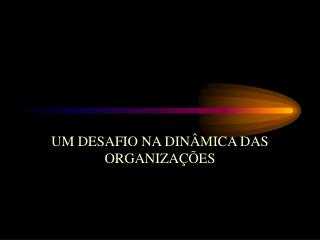 UM DESAFIO NA DINÂMICA DAS ORGANIZAÇÕES