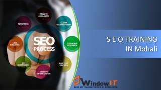 Seo Training in Chandigarh