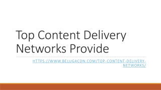 Top Content Delivery Network Providers |BelugaCDN