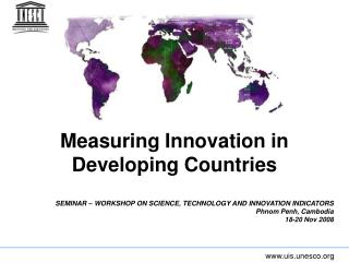 Measuring Innovation in Developing Countries