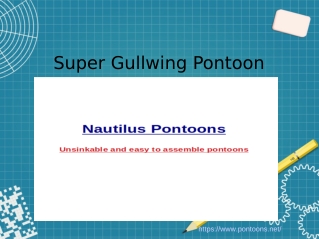 Super Gullwing Pontoon