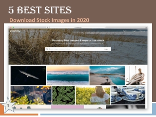 5 Best Sites to Download Stock Images in 2020