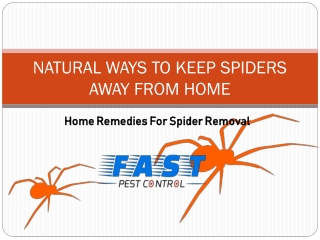 NATURAL WAYS TO KEEP SPIDERS AWAY FROM HOME