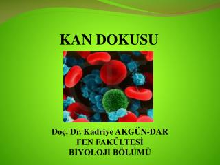 KAN DOKUSU