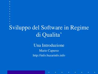 Sviluppo del Software in Regime di Qualita’