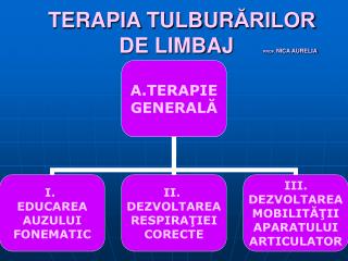 TERAPIA TULBUR ĂRILOR DE LIMBAJ PROF. NICA AURELIA