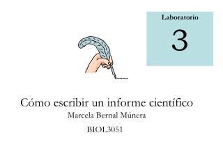 Cómo escribir un informe científico Marcela Bernal M únera BIOL3051
