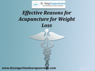 Acupuncture for Weight Loss Orlando