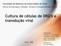 Cultura de células de DRG’s e transdução viral