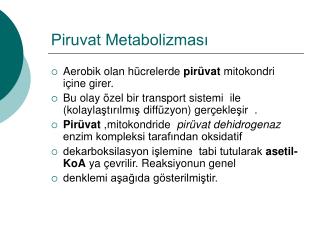 Piruvat Metabolizması