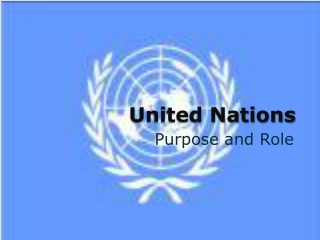 PPT - United Nations PowerPoint Presentation, free download - ID:9706207