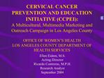 CERVICAL CANCER PREVENTION AND EDUCATION INITIATIVE CCPEI: A Multicultural, Multimedia Marketing and Outreach Campaign