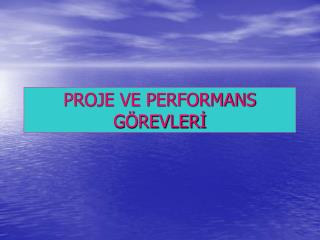 PROJE VE PERFORMANS GÖREVLERİ