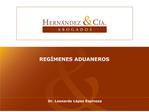 REG MENES ADUANEROS