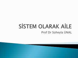 SİSTEM OLARAK AİLE