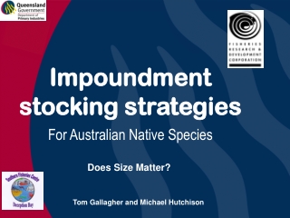 Impoundment stocking strategies