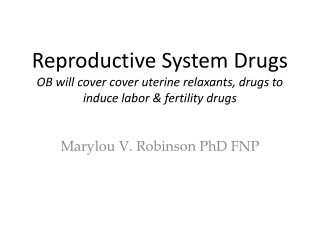 Marylou V. Robinson PhD FNP