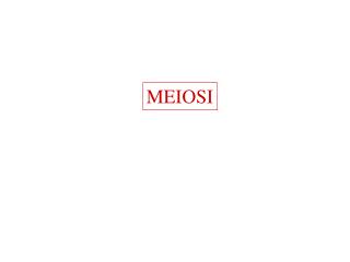 MEIOSI
