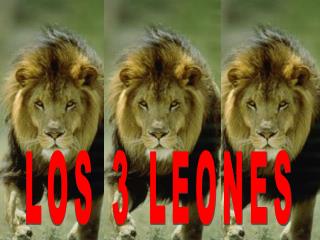 LOS 3 LEONES