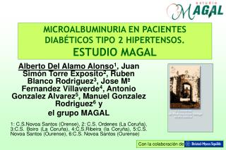 MICROALBUMINURIA EN PACIENTES DIABÉTICOS TIPO 2 HIPERTENSOS. ESTUDIO MAGAL