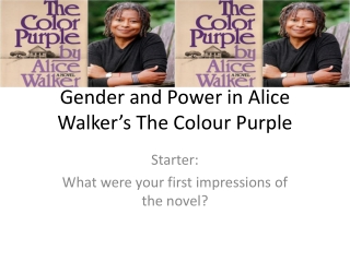 Gender and Power in Alice Walker’s The Colour Purple