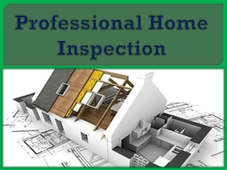 Professional Home Inspection