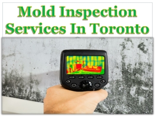 Mold Inspection Services In Toronto