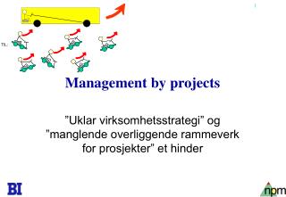 Management by projects