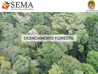 LICENCIAMENTO FLORESTAL