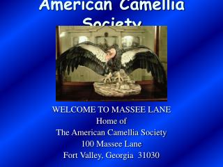 American Camellia Society