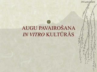 AUGU PAVAIROŠANA IN VITRO KULTŪRĀS