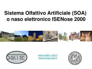 Sistema Olfattivo Artificiale (SOA) o naso elettronico ISENose 2000