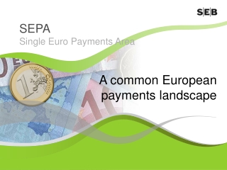 A common European payments landscape