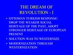 THE DREAM OF REVOLUTION - I