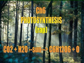 Ch6  PHOTOSYNTHESIS (rap) CO2 + H2O --sun--> C6H12O6 + O
