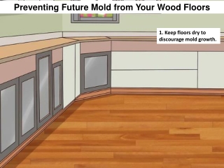 Preventing Future Mold from Your Wood Floors