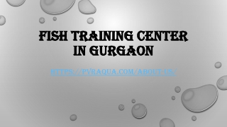 Fish Training center in Gurgaon