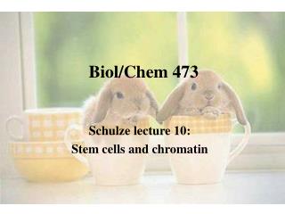 Biol/Chem 473