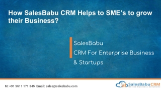 How SalesBabu CRM Helps to SME’s to grow their Business?