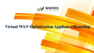 Virtual wan optimization appliance roundup