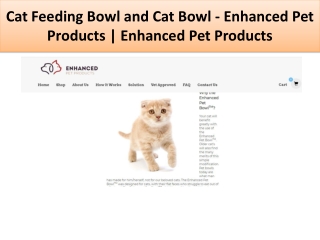 Cat Feeding Bowl