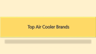 Top Air Cooler Brands