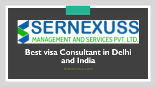 Best visa Consultant in Delhi and India